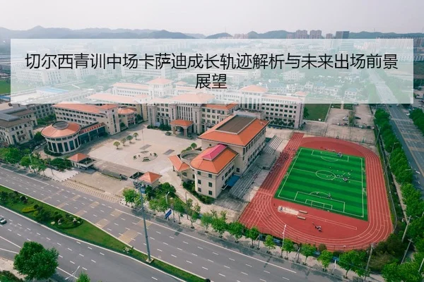 切尔西青训中场卡萨迪成长轨迹解析与未来出场前景展望